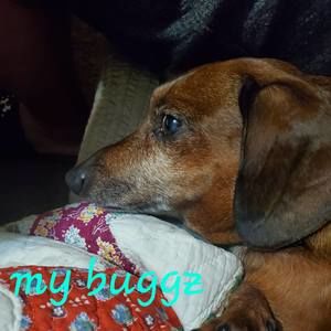 Meet your Posher, Jena